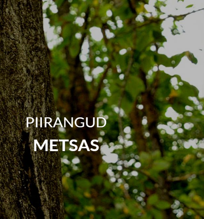 Piirangute hoiatuse teenus